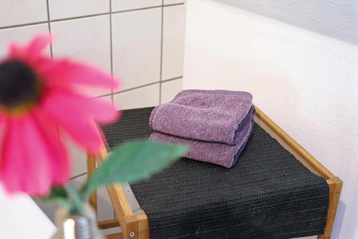 Appartments Zur Schlosswache デーリッチュ エクステリア 写真