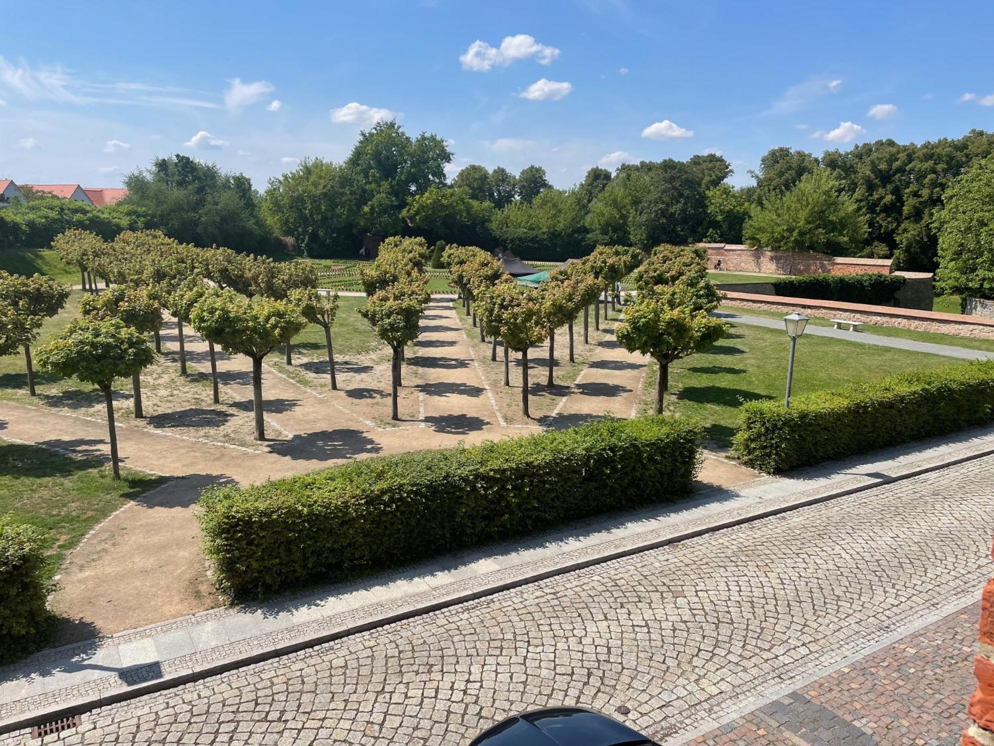 Appartments Zur Schlosswache デーリッチュ エクステリア 写真
