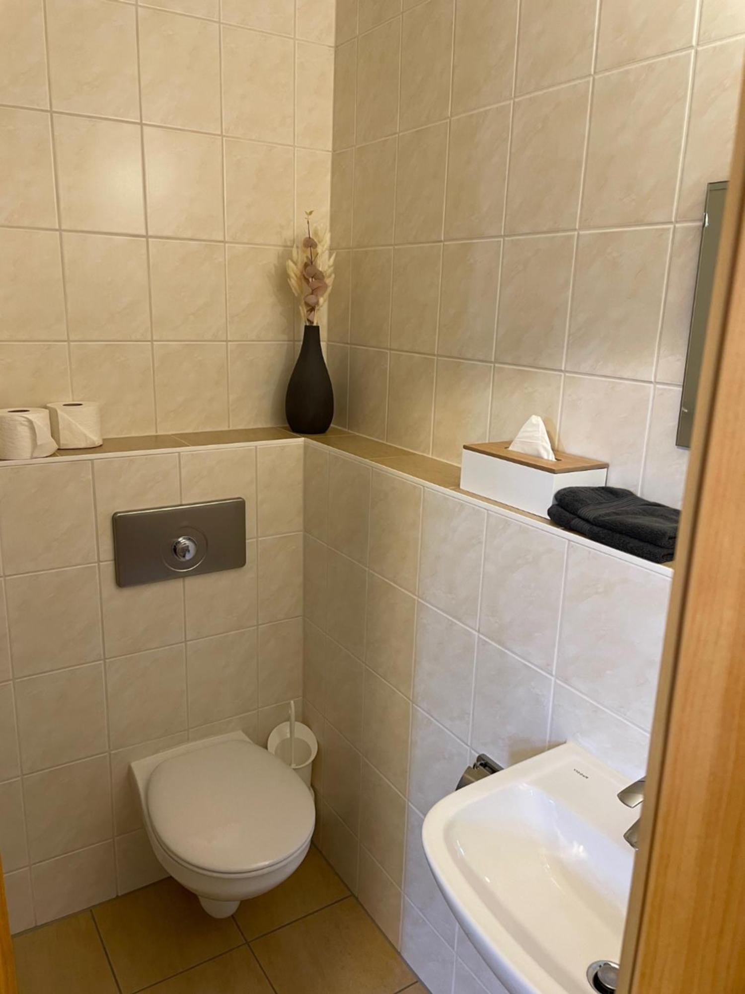 Appartments Zur Schlosswache デーリッチュ エクステリア 写真