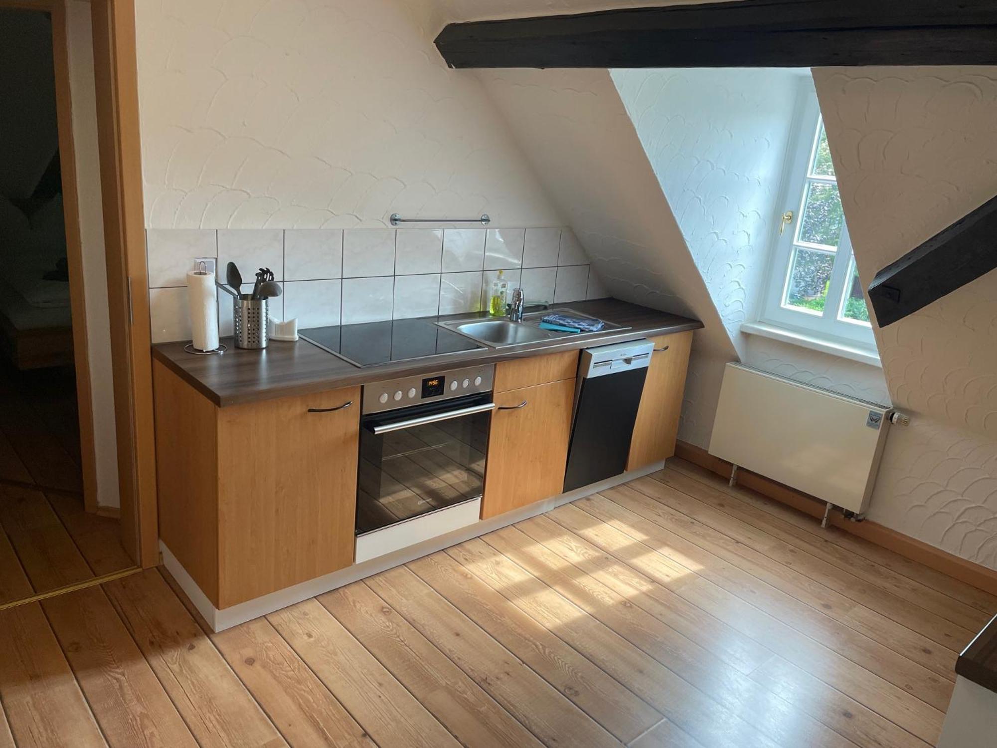 Appartments Zur Schlosswache デーリッチュ エクステリア 写真